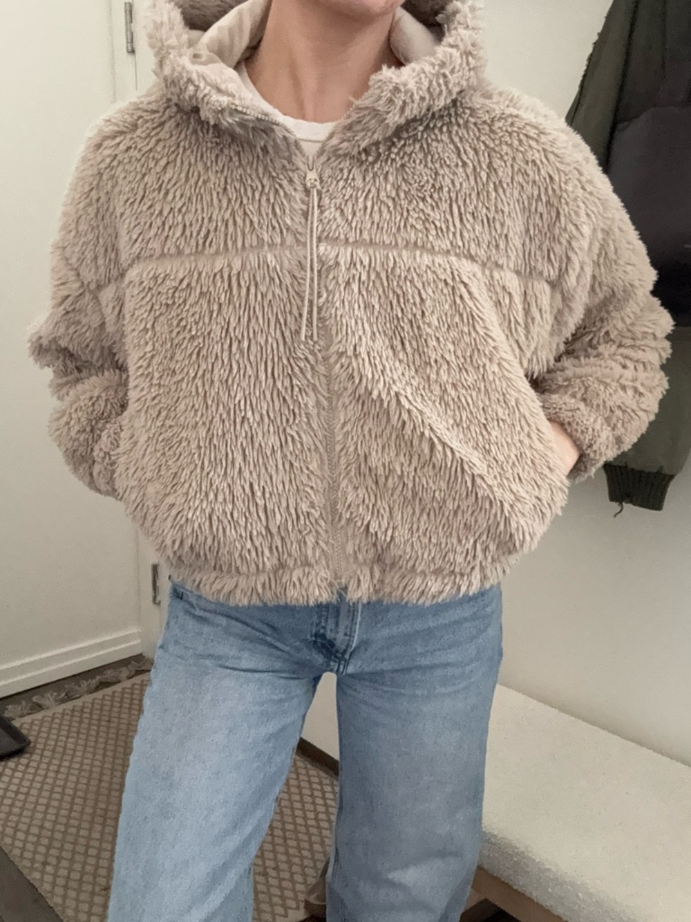 Urban Outfitters Taupe Plush Hooded Teddy Jacket